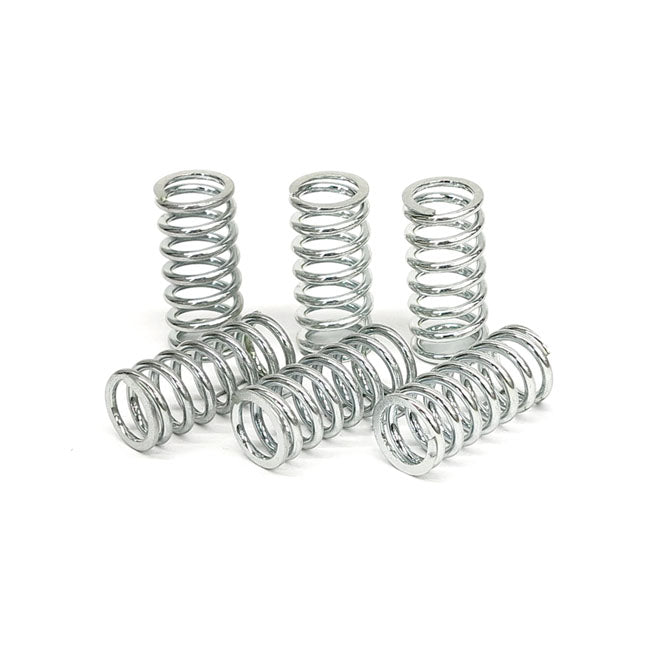 TRW clutch spring kit CLUTCH SPRINGS Trw