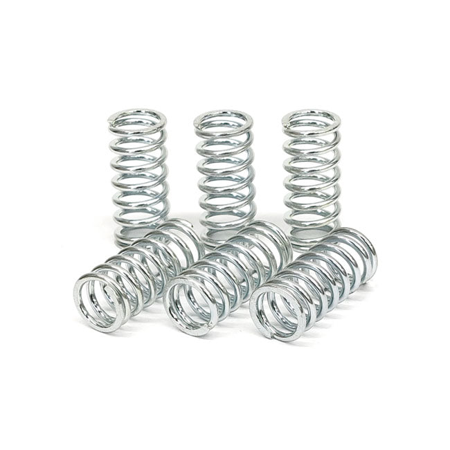 TRW clutch spring kit CLUTCH SPRINGS Trw