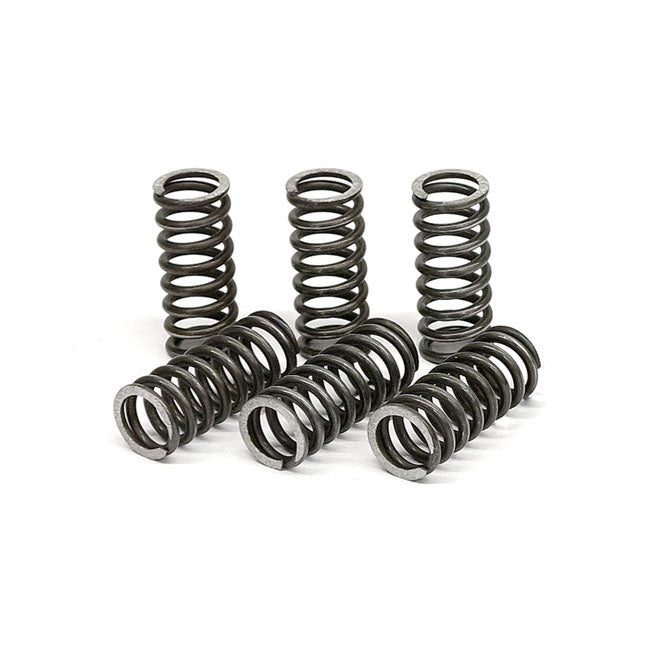 TRW clutch spring kit CLUTCH SPRINGS Trw