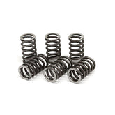 TRW clutch spring kit CLUTCH SPRINGS Trw