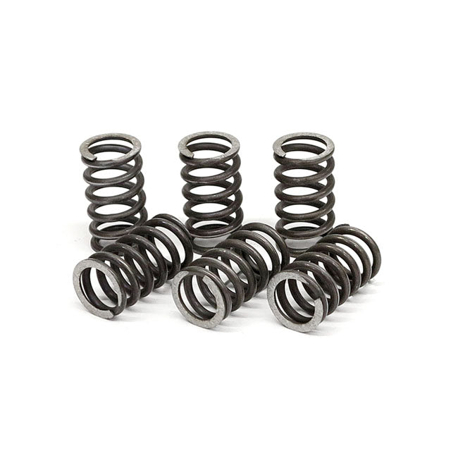 TRW clutch spring kit CLUTCH SPRINGS Trw