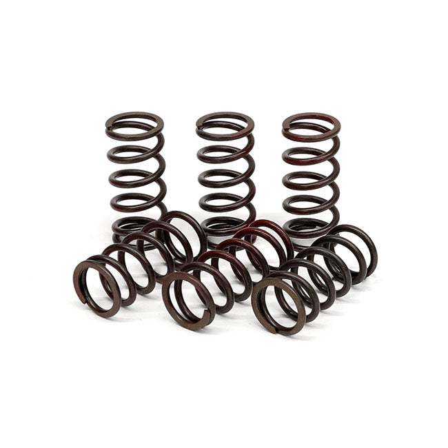 TRW clutch spring kit CLUTCH SPRINGS Trw
