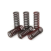 TRW clutch spring kit CLUTCH SPRINGS Trw