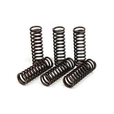 TRW clutch spring kit CLUTCH SPRINGS Trw
