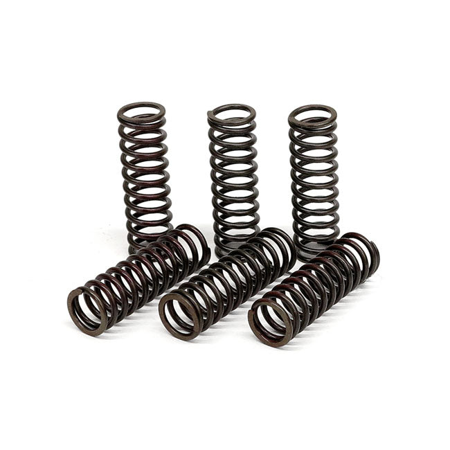 TRW clutch spring kit CLUTCH SPRINGS Trw