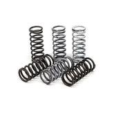 TRW clutch spring kit CLUTCH SPRINGS Trw