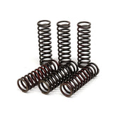 TRW clutch spring kit CLUTCH SPRINGS Trw