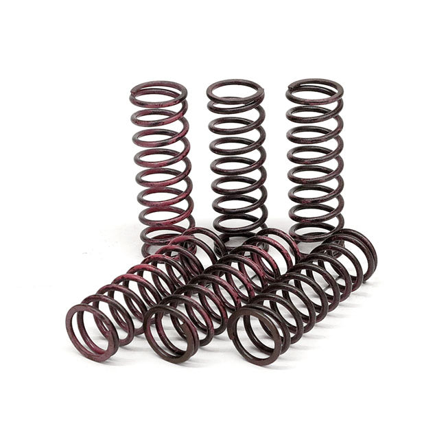 TRW clutch spring kit CLUTCH SPRINGS Trw
