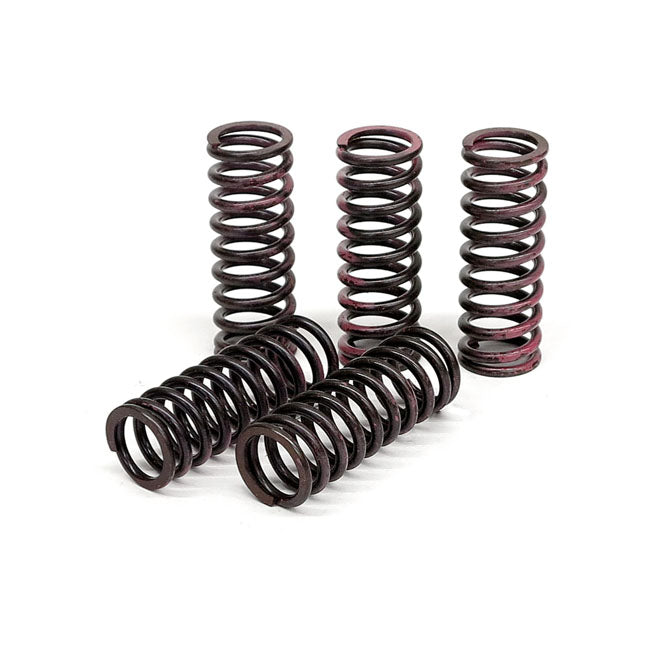 TRW clutch spring kit CLUTCH SPRINGS Trw
