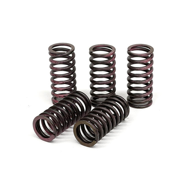 TRW clutch spring kit CLUTCH SPRINGS Trw