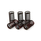 TRW clutch spring kit CLUTCH SPRINGS Trw