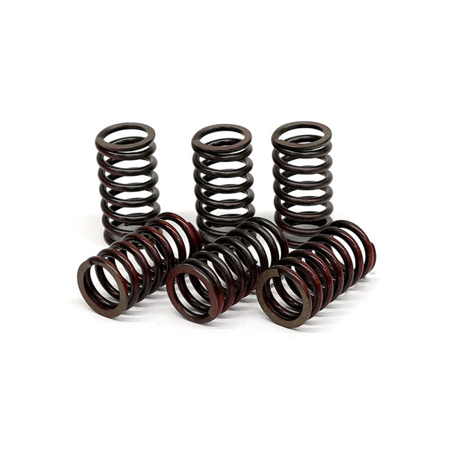TRW clutch spring kit CLUTCH SPRINGS Trw