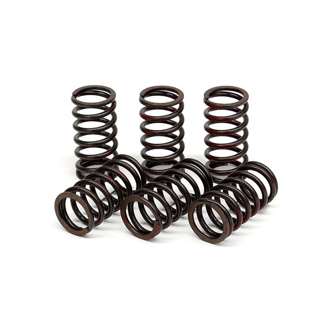 TRW clutch spring kit CLUTCH SPRINGS Trw
