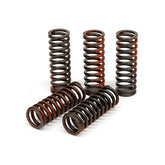 TRW clutch spring kit CLUTCH SPRINGS Trw