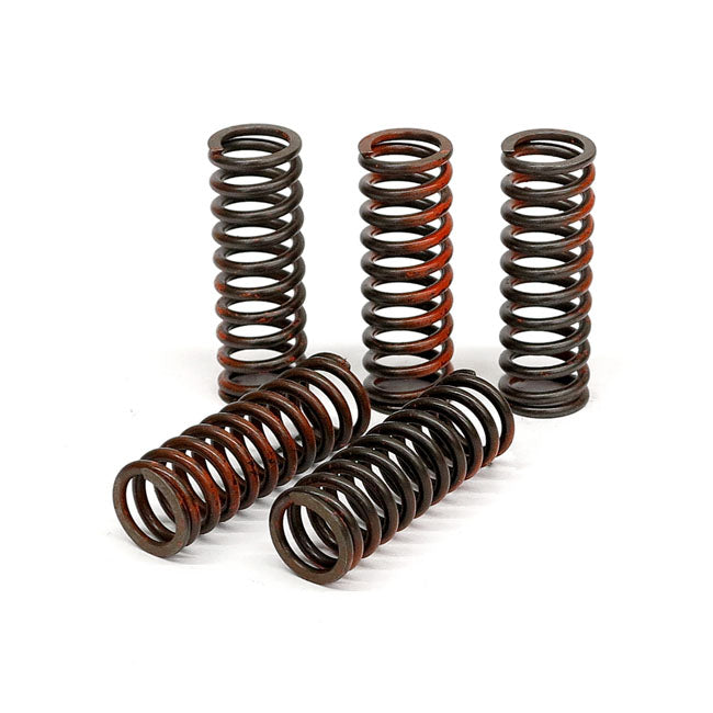 TRW clutch spring kit CLUTCH SPRINGS Trw