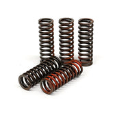 TRW clutch spring kit CLUTCH SPRINGS Trw
