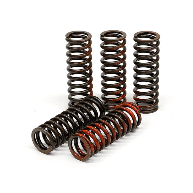 TRW clutch spring kit CLUTCH SPRINGS Trw