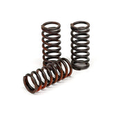 TRW clutch spring kit CLUTCH SPRINGS Trw