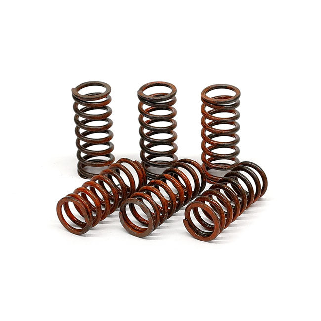 TRW clutch spring kit CLUTCH SPRINGS Trw