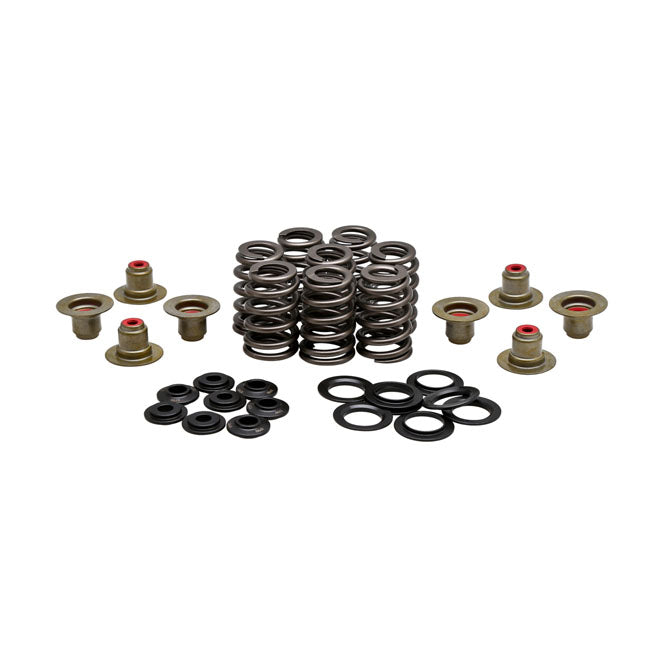KPMI, .550" high lift valve spring kit. Steel VALVE SPRINGS Kibblewhite