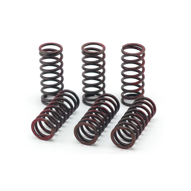 TRW clutch spring kit CLUTCH SPRINGS Trw