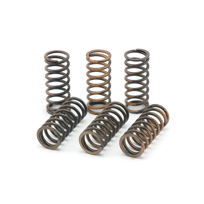 TRW clutch spring kit CLUTCH SPRINGS Trw