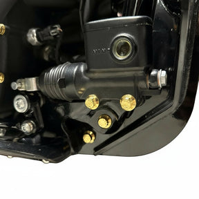 Bamco Motorsports ARP Frame / Crash Bar Bolt Kit - 2020+ Softail Fastener Kit Bamco Motorsports Gold