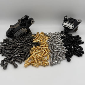 Bamco Motorsports Banjo Bolts - Milwaukee-Eight Softail Banjo Bolt & Washer Bamco Motorsports