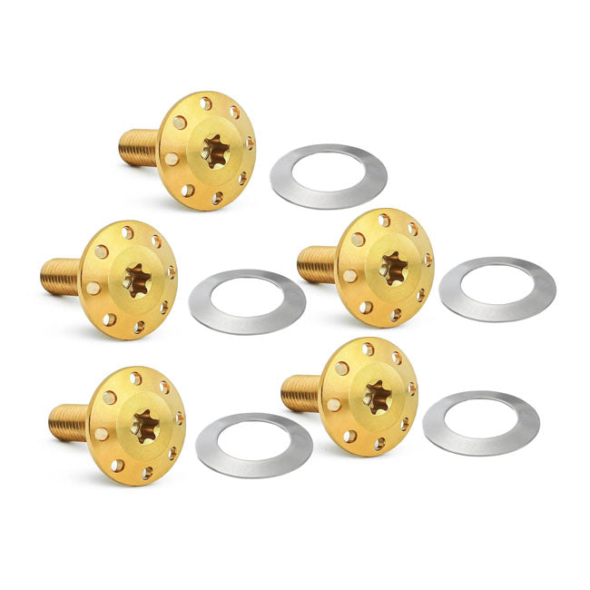 Arlen Ness Titanium Floating Rotor Bolts, Gold - 14-23 Touring Brake Rotor Bolt Kits Arlen Ness
