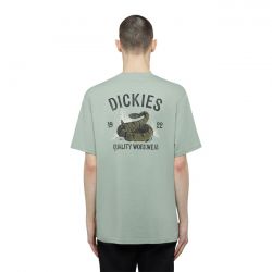 Snake T-Shirt, Iceberg Green T-Shirt Dickies