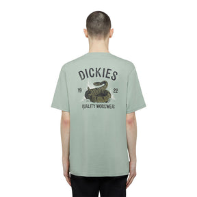 Dickies Snake T-Shirt, Iceberg Green T-Shirt Dickies S
