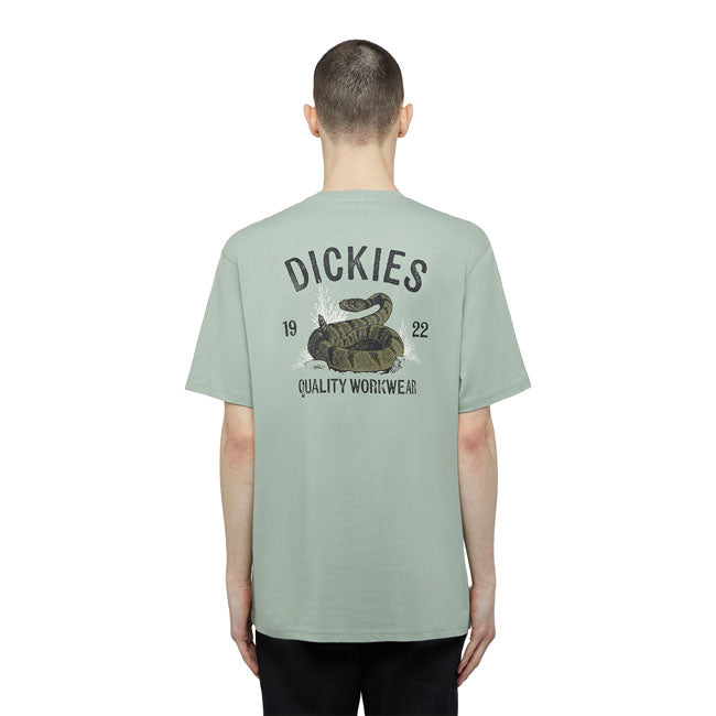 Dickies Snake T-Shirt, Iceberg Green T-Shirt Dickies S