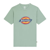 Dickies Icon Logo T-Shirt, Iceberg Green T-Shirt Dickies S