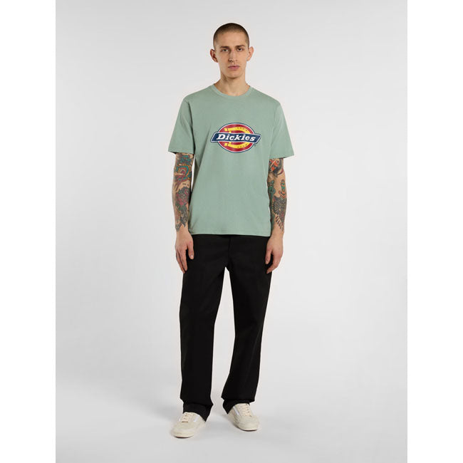 Dickies Icon Logo T-Shirt, Iceberg Green T-Shirt Dickies
