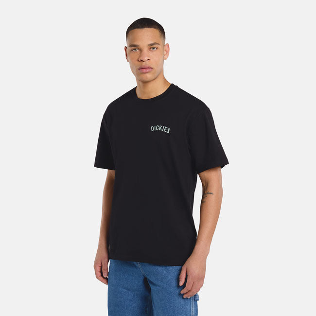 Dickies Snake T-Shirt, Black T-Shirt Dickies