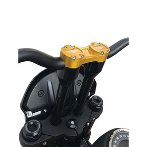Heinz Bikes Riser Straight 12 Black/Gold 1 Risers Heinz Bikes