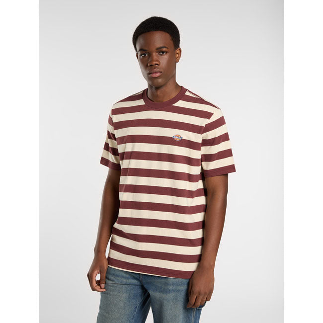 Dickies Rivergrove T-Shirt, Andorra T-Shirt Dickies