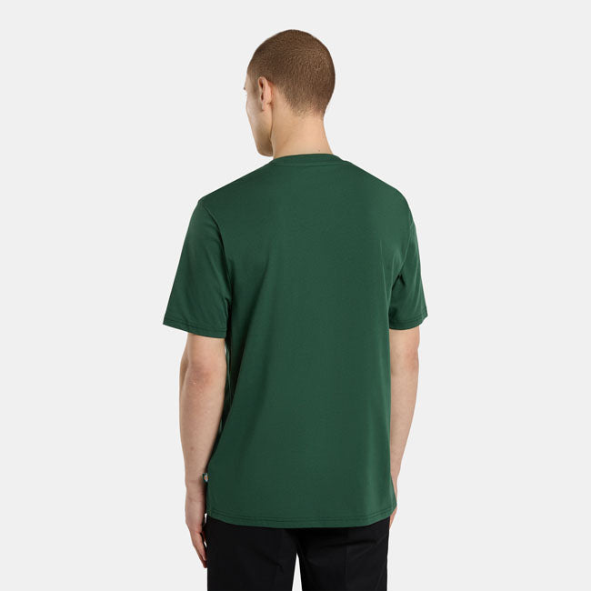 Dickies SS Mapleton T-Shirt, Pine Needle Green T-Shirt Dickies