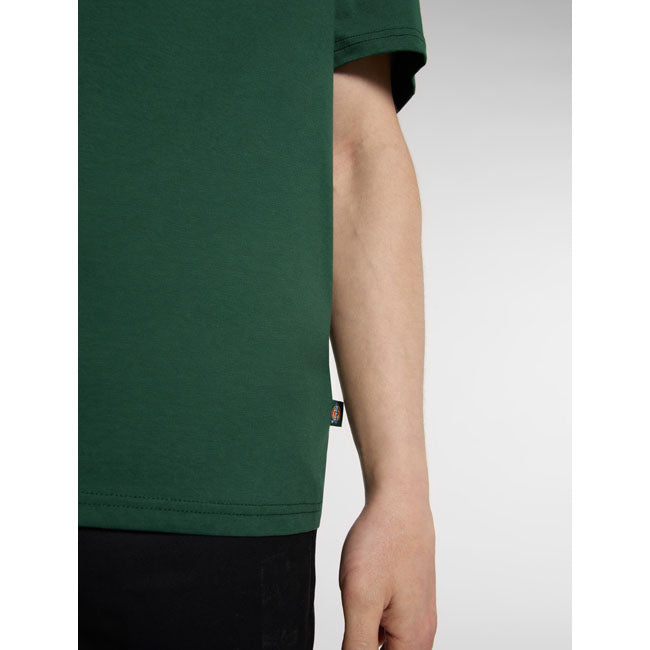 Dickies SS Mapleton T-Shirt, Pine Needle Green T-Shirt Dickies