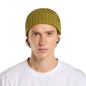 Dickies Lockwood Beanie, Evergreen Sprig Headwear Dickies