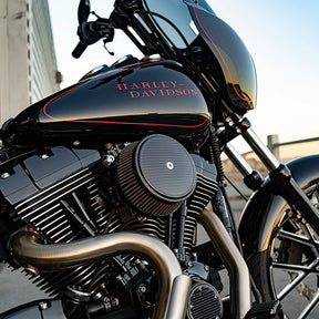 Arlen Ness, Stage 1 Big Sucker air cleaner. Carbon fiber Arlen Ness