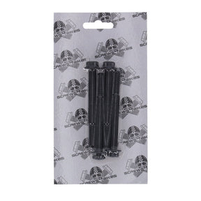 Screws4Bikes, crankcase bolt kit. Titan 2Drive. Black BUILDERS FASTENER SETS Screws4 Bikes