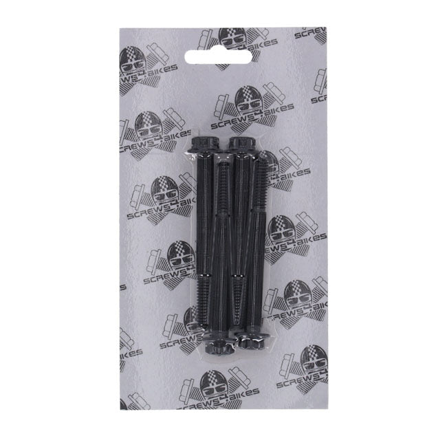 Screws4Bikes, crankcase bolt kit. Titan 2Drive. Black BUILDERS FASTENER SETS Screws4 Bikes