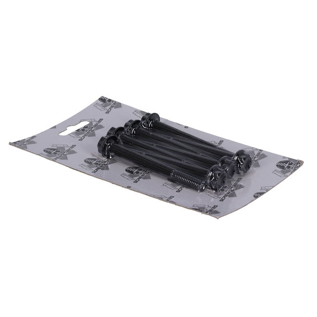 Screws4Bikes, crankcase bolt kit. Titan 2Drive. Black BUILDERS FASTENER SETS Screws4 Bikes