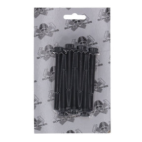 Screws4Bikes, crankcase bolt kit. Titan 2Drive. Black BUILDERS FASTENER SETS Screws4 Bikes