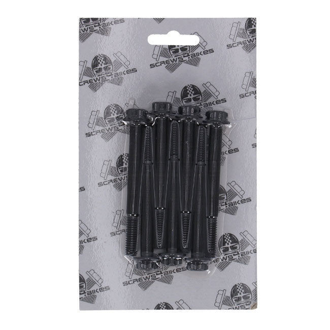 Screws4Bikes, crankcase bolt kit. Titan 2Drive. Black BUILDERS FASTENER SETS Screws4 Bikes