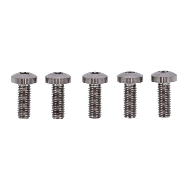 Screws4bikes, bolt kit, brake rotor discs rear (TITAN) BRAKE ROTOR BOLT KITS Screws4 Bikes