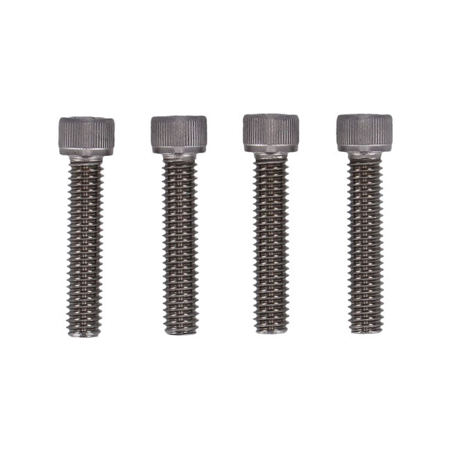 Screws4Bikes, bolt kit, front fender BUILDERS FASTENER SETS Screws4 Bikes