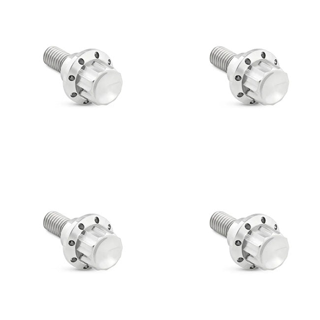 Arlen Ness Bolt Kit Titanium Fltr 23 25 Builders Fastener Sets Arlen Ness