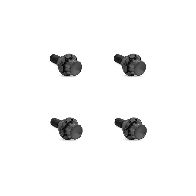Arlen Ness Bolt Kit Titanium Fltr 23 25 Builders Fastener Sets Arlen Ness